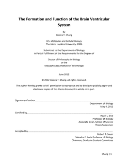 The Formation and Function of the Brain Ventricular System