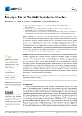 Imaging of Canine Neoplastic Reproductive Disorders