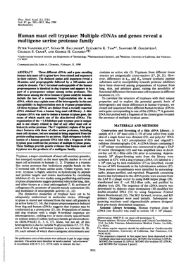 Human Mast Cell Tryptase: Multiple Cdnas and Genes Reveal a Multigene Serine Protease Family PETER VANDERSLICE*, SUSAN M