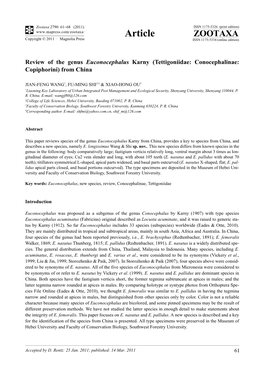 Tettigoniidae: Conocephalinae: Copiphorini) from China