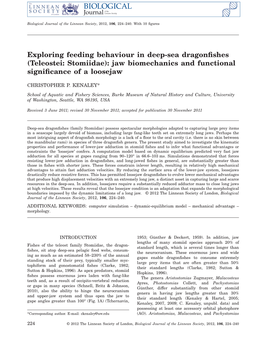 Exploring Feeding Behaviour in Deep-Sea Dragonﬁshes (Teleostei: Stomiidae): Jaw Biomechanics and Functional Signiﬁcance of a Loosejaw