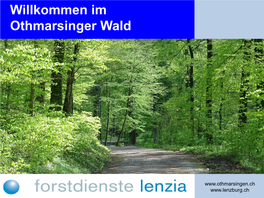 Willkommen Im Othmarsinger Wald