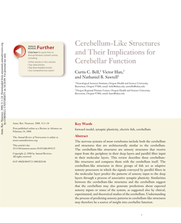 Cerebellum-Like Structures and Their Implications for Cerebellar Function 3 ANRV346-NE31-01 ARI 14 May 2008 6:50