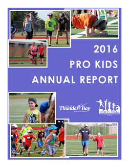 2016 Pro Kids Annual Report Background