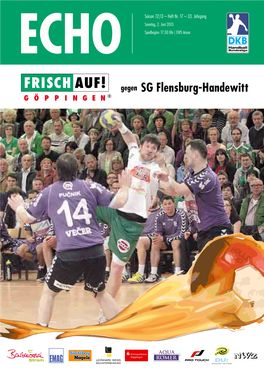 SG Flensburg-Handewitt 2 Editorial Inhalt Zungssorgen Konnten Sie Ein Nahezu Aktuelle Sport-Infos Konstant Hohes Niveau Erreichen