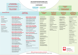 Delegiertenversammlung Caritasrat Vorstand
