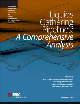 Liquids Gathering Pipelines: a Comprehensive Analysis