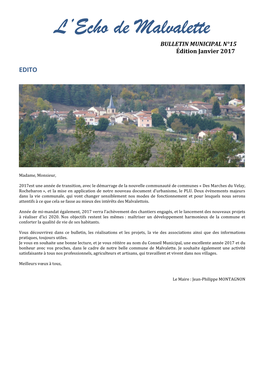 Bulletin Municipal De 2017