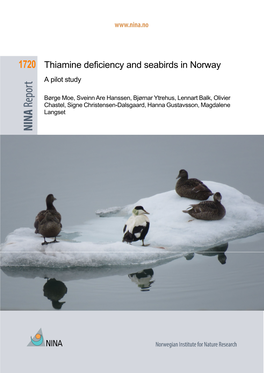 Thiamine Deficiency and Seabirds in Norway. a Pilot Study. NINA Report 1720
