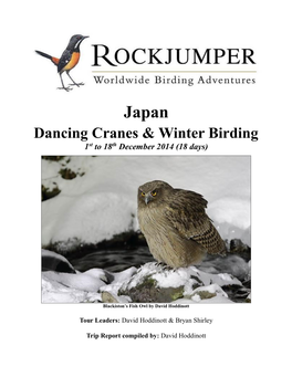 Japan Dancing Cranes & Winter Birding 1St to 18Th December 2014 (18 Days)