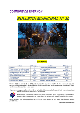 Bulletin Municipal N° 20