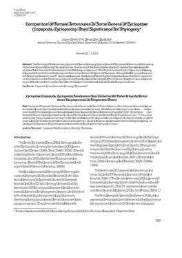Comparison of Female Antennules in Some Genera of Cyclopidae