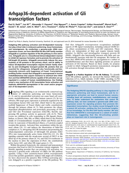 Arhgap36-Dependent Activation of Gli Transcription Factors