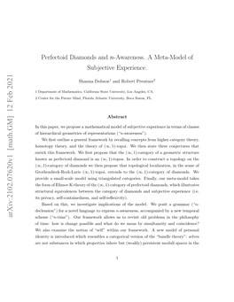 Perfectoid Diamonds and N-Awareness. a Meta-Model of Subjective Experience