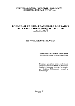 DIVERSIDADE GENÉTICA DE ACESSOS DO BANCO ATIVO DE GERMOPLASMA DE Vitis Spp