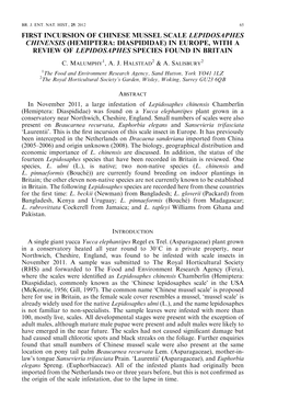 Read About the First Incursion of Chinese Mussel Scale in Europe