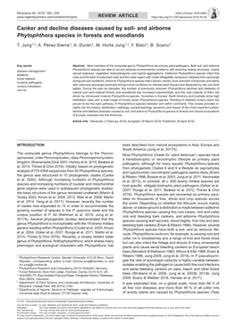 Canker and Decline Diseases Caused by Soil- and Airborne Phytophthora Species in Forests and Woodlands