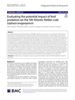 Evaluating the Potential Impact of Bird Predation on the SW Atlantic Fiddler