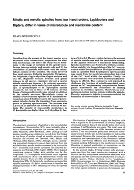 Mitotic and Meiotic Spindles from Two Insect Orders, Lepidoptera and Diptera, Differ in Terms of Microtubule and Membrane Content