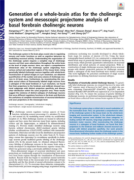 Generation of a Whole-Brain Atlas for the Cholinergic System and Mesoscopic Projectome Analysis of Basal Forebrain Cholinergic Neurons