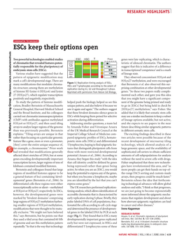 Escs Keep Their Options Open