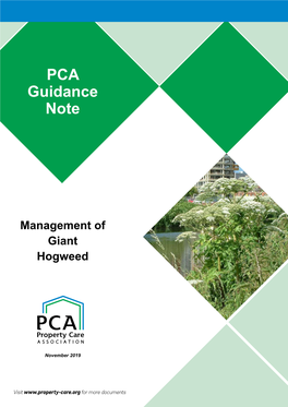 Management of Giant Hogweed