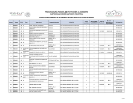 Procuraduría Federal De Protección Al Ambiente Subprocuraduría De Inspección Industrial