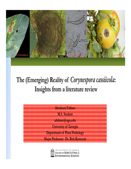 The (Emerging) Reality of Corynespora Cassiicola: Insights from a Literature Review