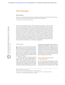 The Nucleolus