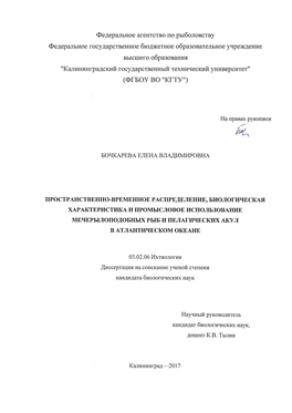 0 Bochkareva-Dissertaziya.Pdf