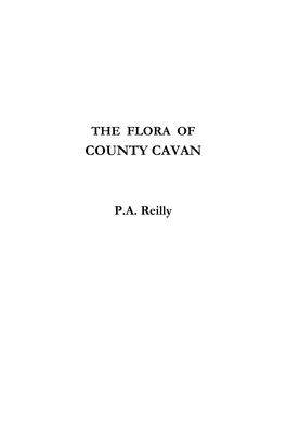 County Cavan