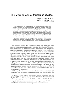 The Morphology of Musculus Uvulae NABIL A. AZZAM, Ph.D. DAVID P