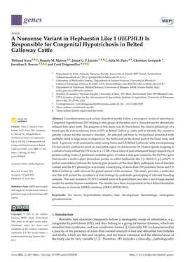 Is Responsible for Congenital Hypotrichosis in Belted Galloway Cattle