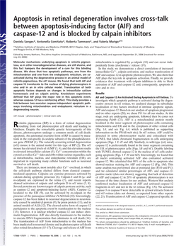 Apoptosis in Retinal Degeneration Involves Cross-Talk Between Apoptosis-Inducing Factor (AIF) and Caspase-12 and Is Blocked by Calpain Inhibitors