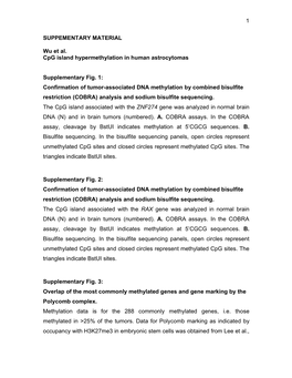 1 SUPPEMENTARY MATERIAL Wu Et Al. Cpg Island Hypermethylation In