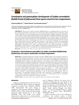 (Raddi) Domin (Cyatheaceae) from Spores Stored at Low Temperatures