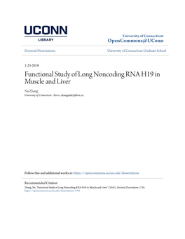 Functional Study of Long Noncoding RNA H19 in Muscle and Liver Na Zhang University of Connecticut - Storrs, Zhangnala5@Live.Cn