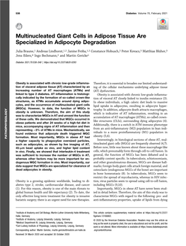 Multinucleated Giant Cells in Adipose Tissue Are Specialized in Adipocyte Degradation