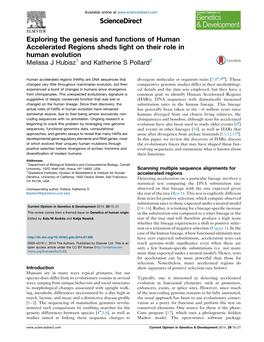 Exploring the Genesis and Functions of Human Accelerated Regions