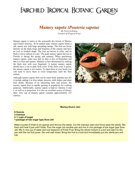 Mamey Sapote (Pouteria Sapota) by Noris Ledesma Curator of Tropical Fruit