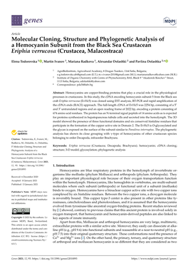 Molecular Cloning, Structure and Phylogenetic Analysis of a Hemocyanin Subunit from the Black Sea Crustacean Eriphia Verrucosa (Crustacea, Malacostraca)