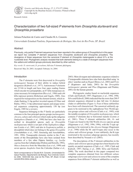 Characterization of Two Full-Sized P Elements from Drosophila Sturtevanti and Drosophila Prosaltans