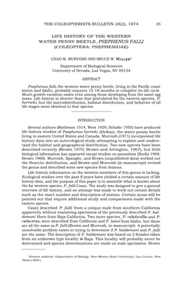 The Coleopterists Bulletin 28(2), 1974 85 Life History of the Western Water Penny Beetle, Psephenus Falli (Coleoptera: Psephenid