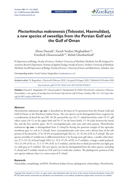 Plectorhinchus Makranensis (Teleostei, Haemulidae), a New Species of Sweetlips from the Persian Gulf and the Gulf of Oman