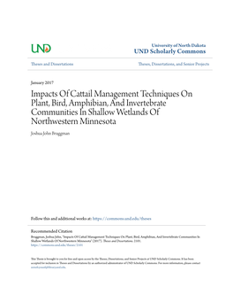 Impacts of Cattail Management Techniques on Plant, Bird, Amphibian, and Invertebrate Communities in Shallow Wetlands of Northwestern Minnesota Joshua John Bruggman