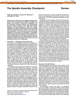 The Spindle Assembly Checkpoint Review