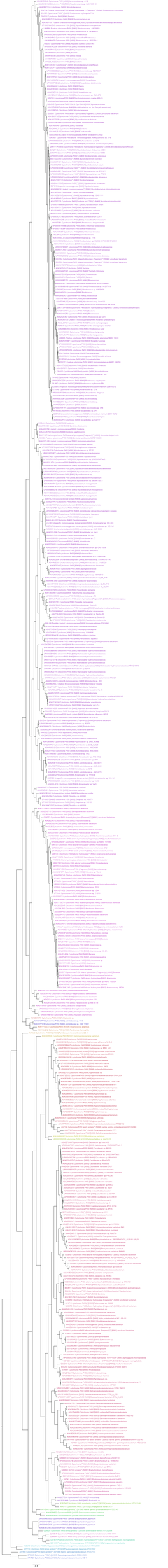 UPI000BB50957 Cytochrome P450 [N993]