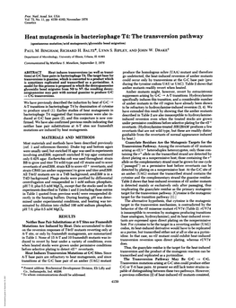 The Transversion Pathway (Spontaneous Mutation/Acid Mutagenesis/Glycosidic Bond Migration) PAUL M