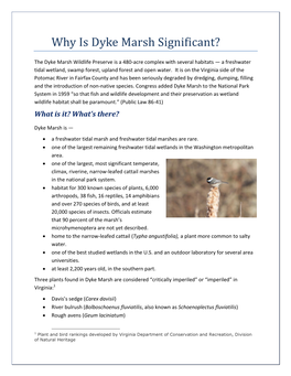Why Is Dyke Marsh Significant?