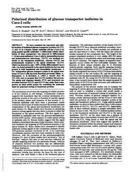 Polarized Distribution of Glucose Transporter Isoforms in Caco-2 Cells (Sorfting/Targeting/Epithelal Cells) DIANA S